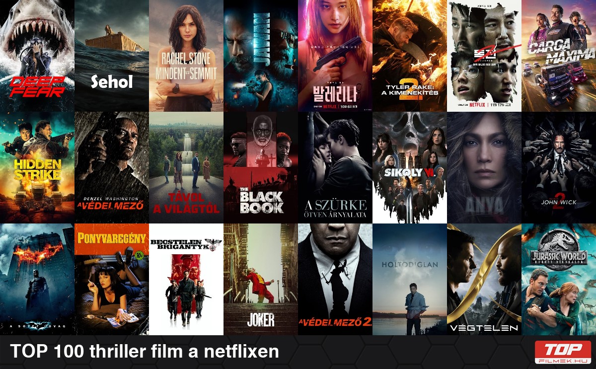 TOP 100 thriller film a netflixen